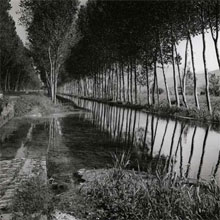 Dorothy Bohm